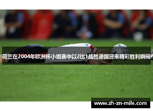 荷兰在2004年欧洲杯小组赛中以2比1战胜德国迎来精彩胜利瞬间 荷兰在2004年欧洲杯小组赛中以2比1战胜德国迎来精彩胜利瞬间