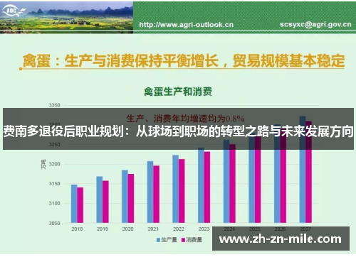费南多退役后职业规划:从球场到职场的转型之路与未来发展方向 费南多退役后职业规划:从球场到职场的转型之路与未来发展方向