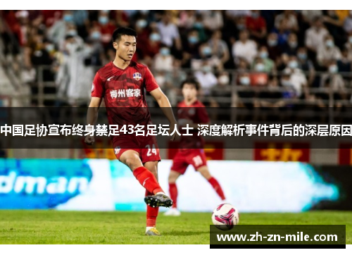 中国足协宣布终身禁足43名足坛人士 深度解析事件背后的深层原因